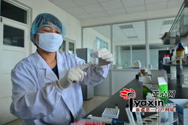 牛羊肉市场调查 从牧场到餐桌，屠宰厂如何层层把关确保肉品安全